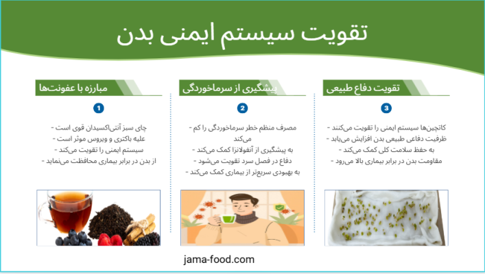 فواید چای سبز و تاثیر آن بر سیستم ایمنی و سلامتی